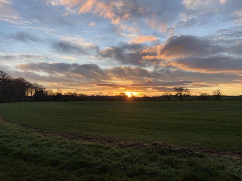 Winter morning - ME from Ireland